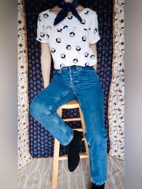 Everlane ❉ The Cheeky High Rise Straight Leg Jean in Size 23 Crop Ankle